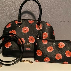 Coach Wizard of Oz Collection Satchel and Wristlet